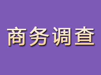 策勒商务调查